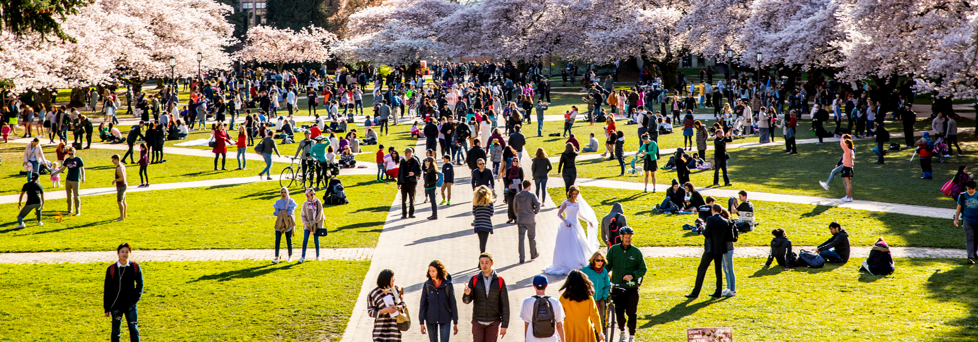 People walk in the Quad on the University of Washington campus.